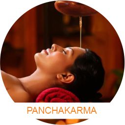 best panchkarma clinic near me in DELHI
